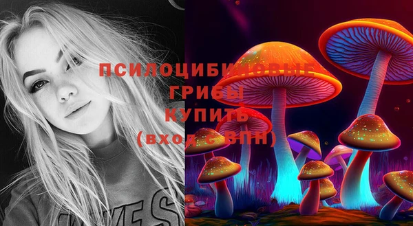прущая мука Чехов