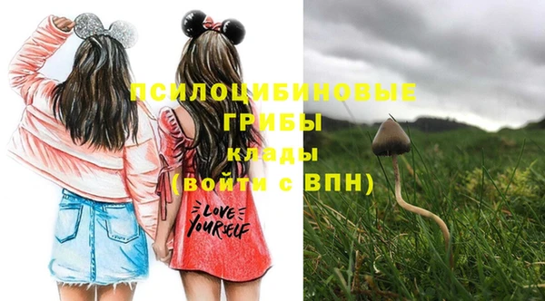 дмт Няндома