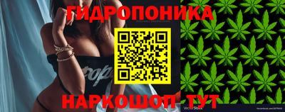 mdpv Братск
