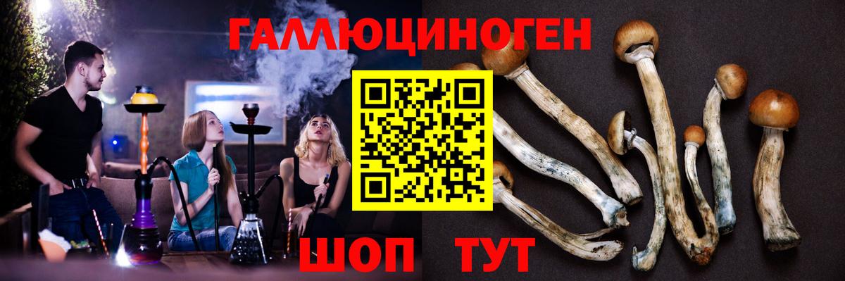 Смоленск  Псилоцибиновые грибы MAGIC MUSHROOMS  Вход с VPN 